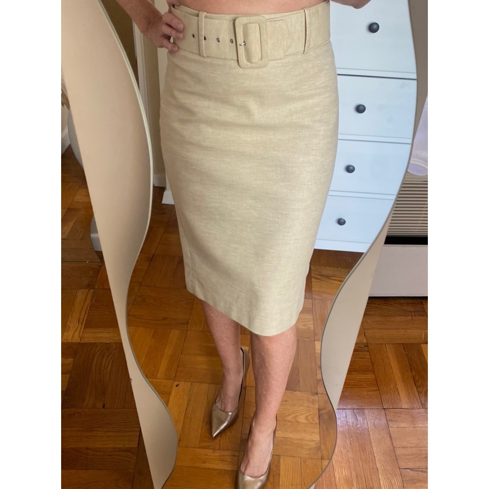Zara Skirt size 4 /S